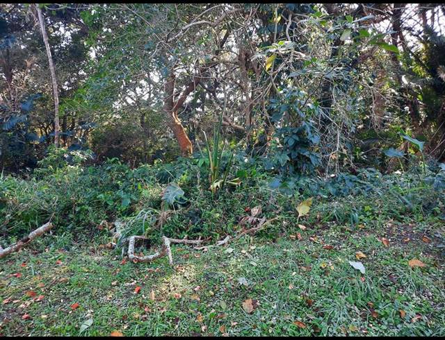 LAND FOR SALE IN PALM BEACH